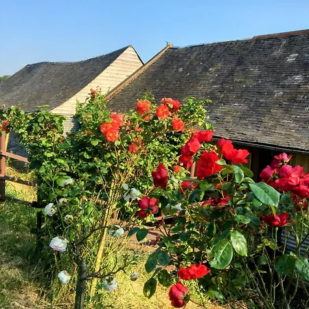 Des Glycines Et Nordique à 1h30 De Paris Cempuis