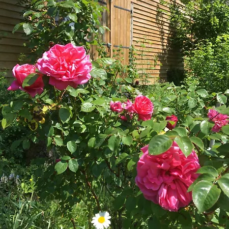 Villa Des Glycines Et Nordique à 1h30 De Paris