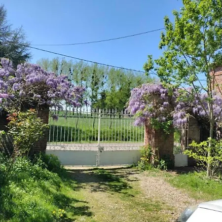 Des Glycines Et