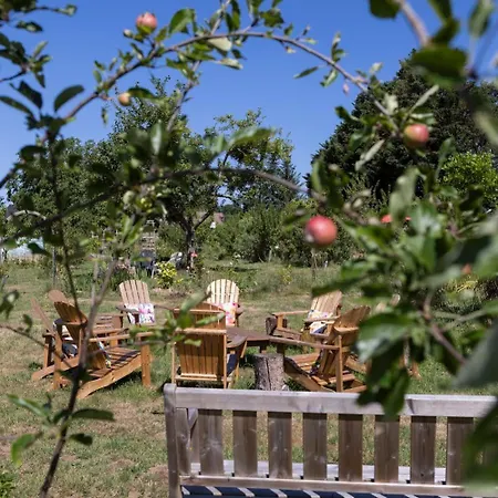 Des Glycines Et Nordique à 1h30 De Paris