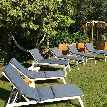 Des Glycines Et Nordique à 1h30 De Paris Villa *